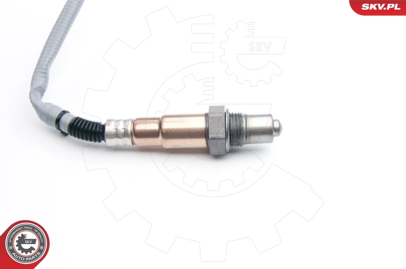 Oxygen Sensor